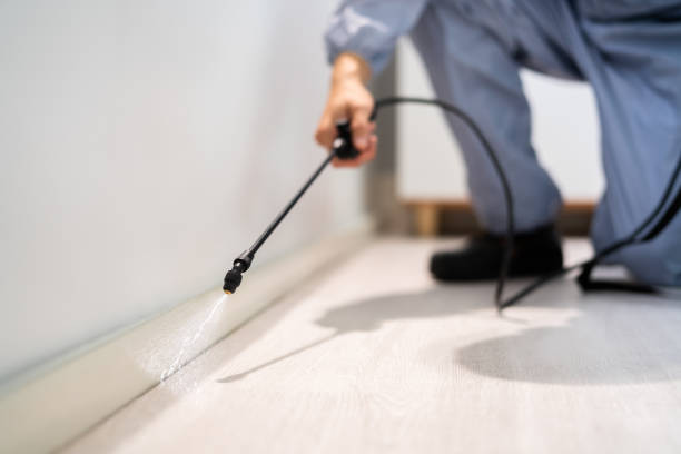 Licensed Cockroach Control service in Virginia, IL - Nex Pest Control