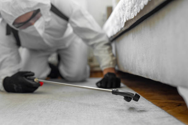 Professional Cockroach Control technician working in Virginia, IL
