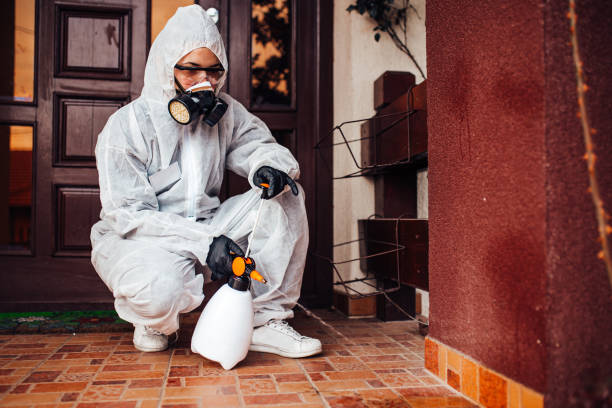 Reliable Cockroach Control contractor in Virginia, IL by Nex Pest Control